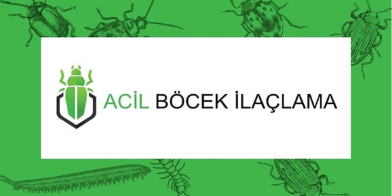 Profesyonel Böcek İlaçlama Hizmeti